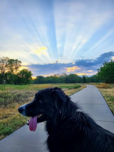 Meadows Park - Wichita, KS