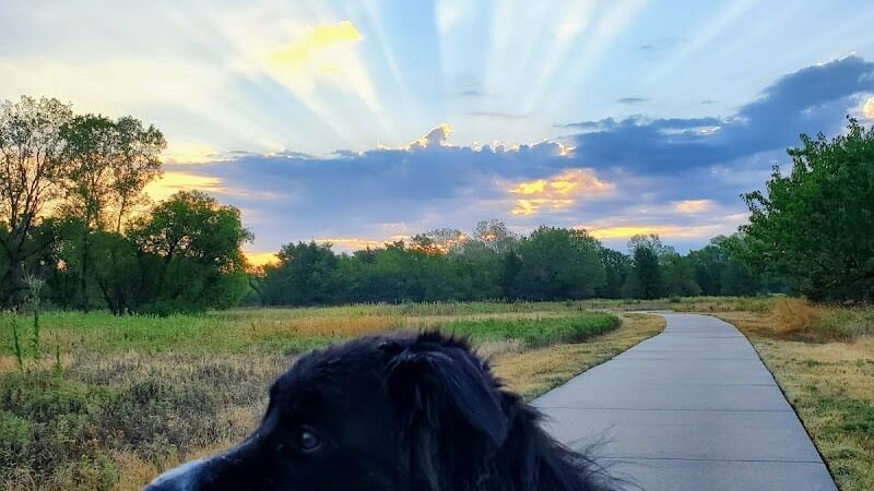 Meadows Park - Wichita, KS