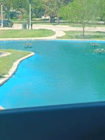 Park Villa - North Riverside park - Wichita, KS