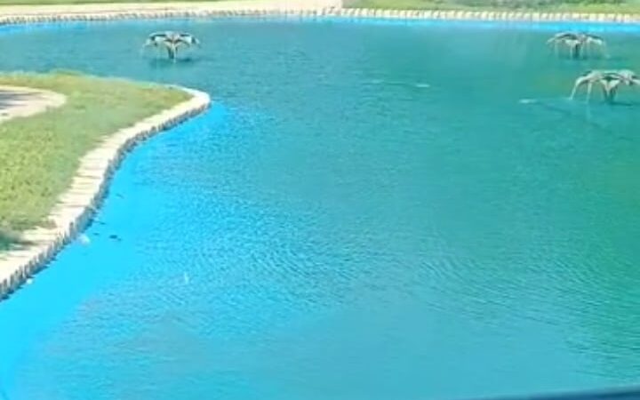Park Villa - North Riverside park - Wichita, KS