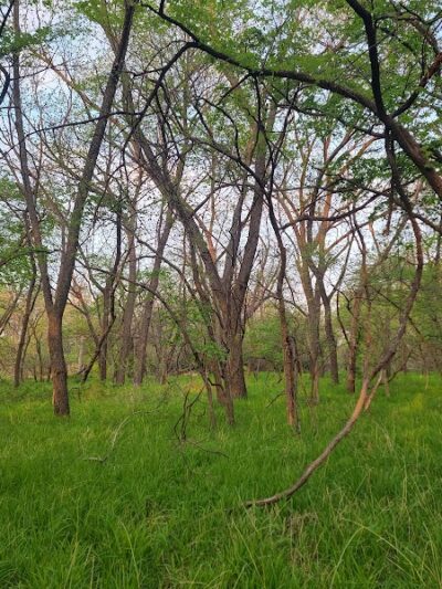 Pawnee Prairie Park - Wichita, KS