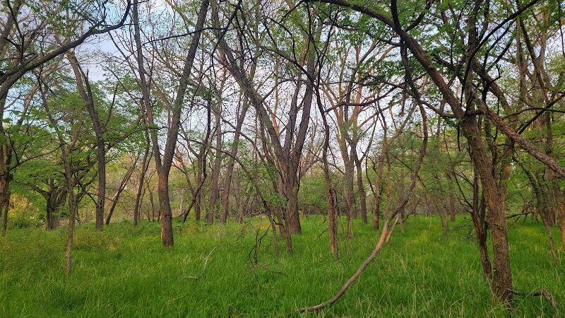 Pawnee Prairie Park - Wichita, KS