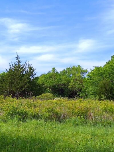 Pawnee Prairie Park - Wichita, KS