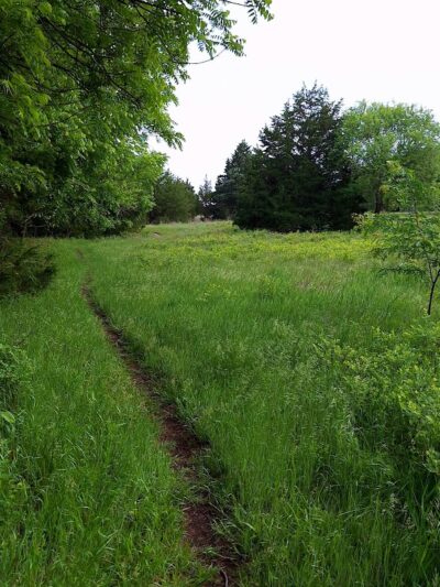 Pawnee Prairie Park - Wichita, KS