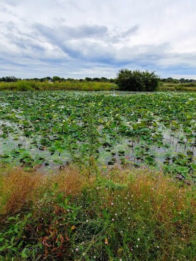 Pracht Wetlands Park - Wichita, KS