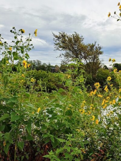 Pracht Wetlands Park - Wichita, KS