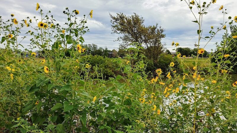 Pracht Wetlands Park - Wichita, KS