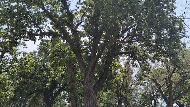 West Douglas Park - Wichita, KS