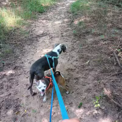 Pawnee Prairie Park - Wichita, KS