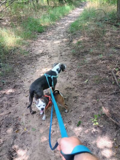 Pawnee Prairie Park - Wichita, KS