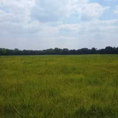 Pawnee Prairie Park - Wichita, KS
