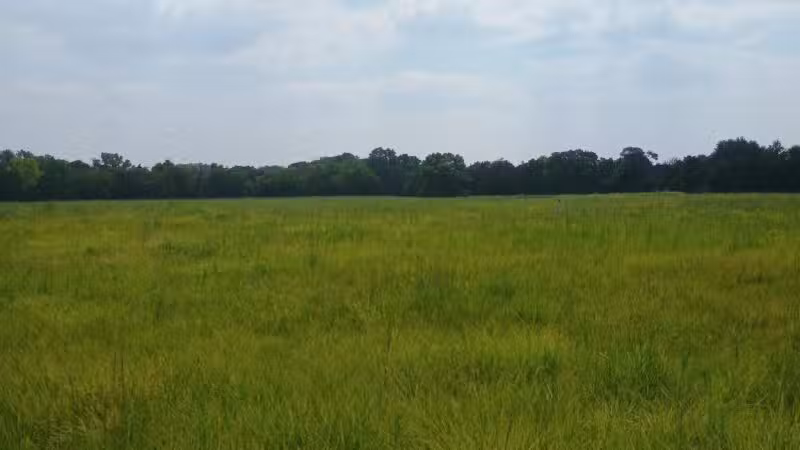 Pawnee Prairie Park - Wichita, KS