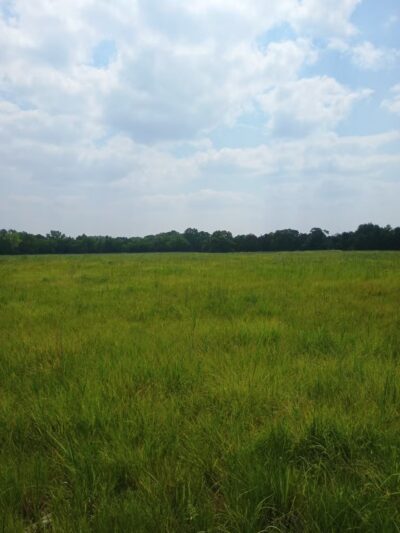 Pawnee Prairie Park - Wichita, KS