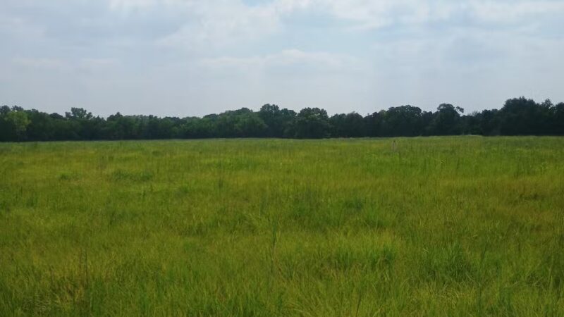 Pawnee Prairie Park - Wichita, KS