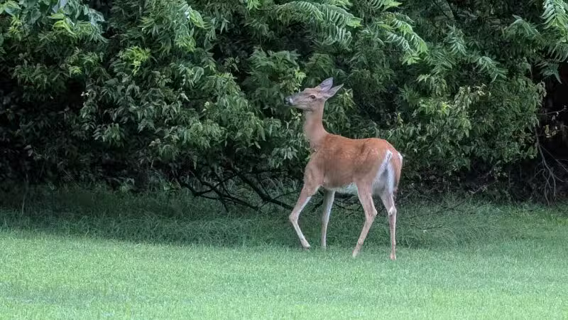 Pawnee Prairie Park - Wichita, KS
