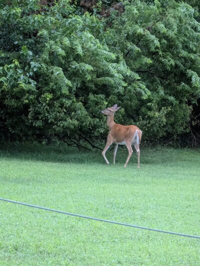 Pawnee Prairie Park - Wichita, KS