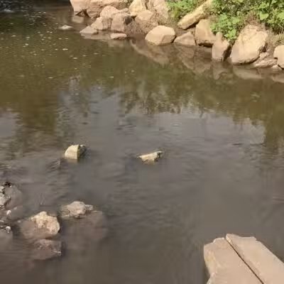 Pawnee Prairie Park - Wichita, KS