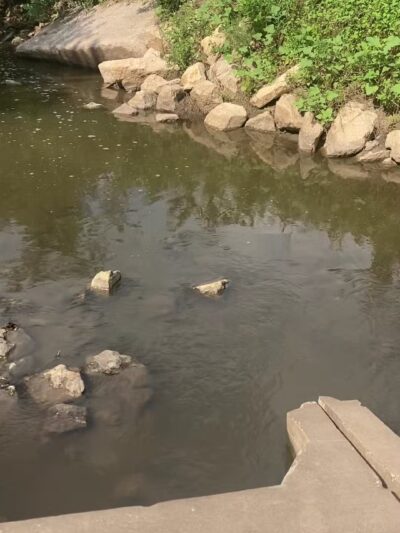 Pawnee Prairie Park - Wichita, KS