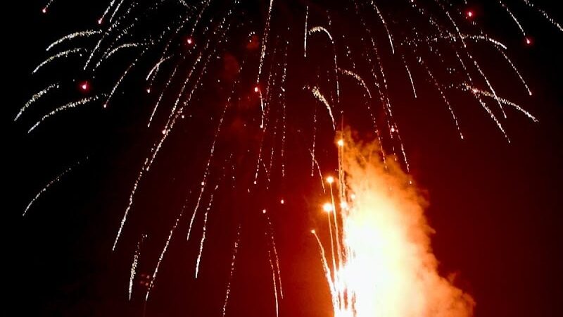 Williamson Memorial Fieldhouse - Williamson, WV