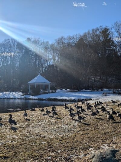 Alex Caisse Park - Willimantic, CT