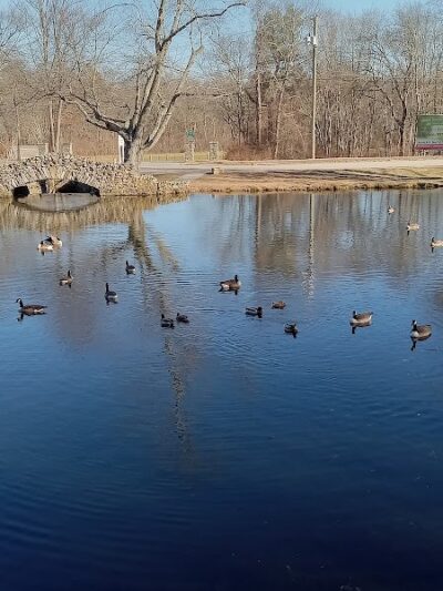 Alex Caisse Park - Willimantic, CT