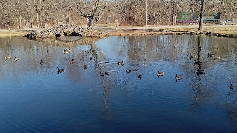 Alex Caisse Park - Willimantic, CT