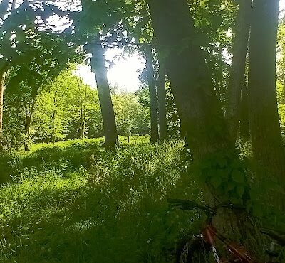 Recreation Park - Willimantic, CT