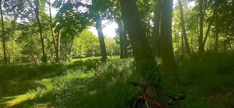 Recreation Park - Willimantic, CT