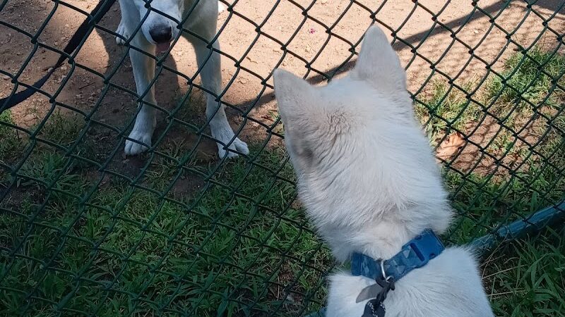 Recreation Park - Willimantic, CT