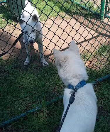 Recreation Park - Willimantic, CT