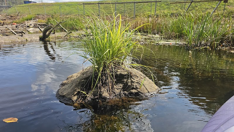 Shetucket Plains Road Park - Willimantic, CT