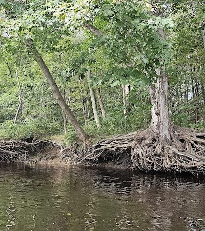 Shetucket Plains Road Park - Willimantic, CT
