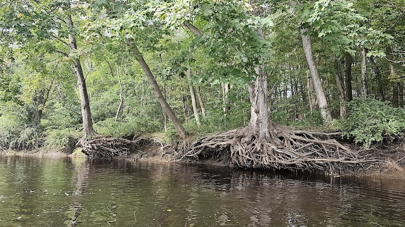 Shetucket Plains Road Park - Willimantic, CT