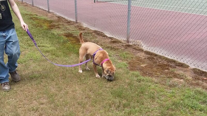 Shetucket Plains Road Park - Willimantic, CT