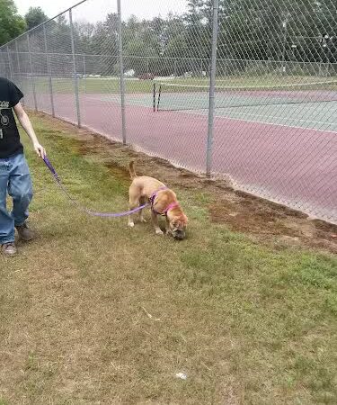 Shetucket Plains Road Park - Willimantic, CT