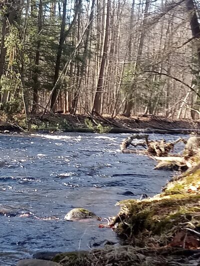 River Road Park - Willington, CT