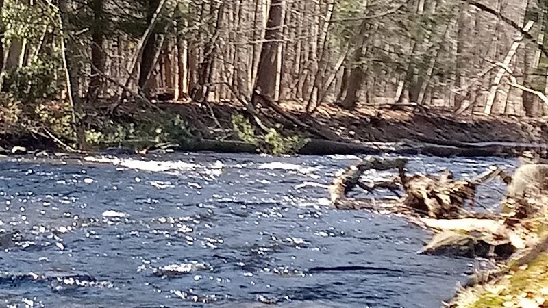 River Road Park - Willington, CT