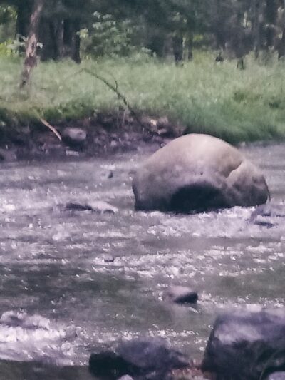 River Road Park - Willington, CT