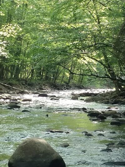 River Road Park - Willington, CT