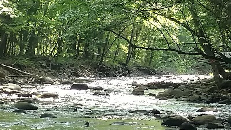 River Road Park - Willington, CT