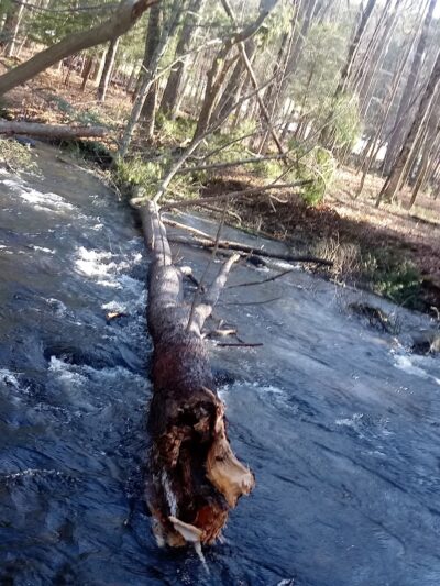 River Road Park - Willington, CT