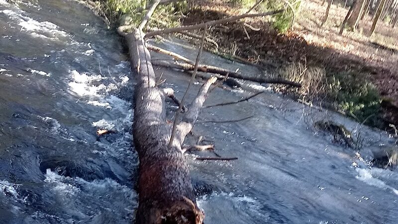 River Road Park - Willington, CT