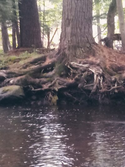 River Road Park - Willington, CT