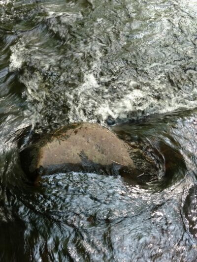 River Road Park - Willington, CT