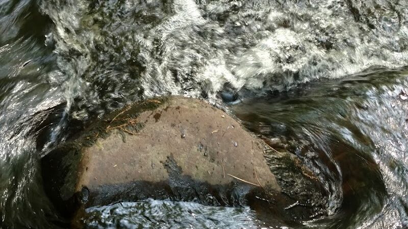 River Road Park - Willington, CT