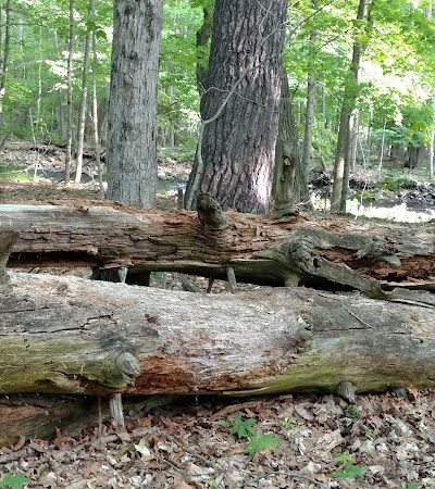 River Road Park - Willington, CT