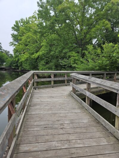 Herricks Pond - Williston Park, NY