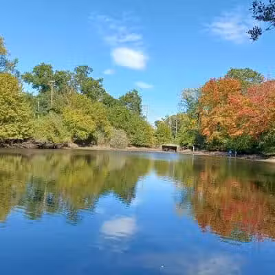 Herricks Pond - Williston Park, NY