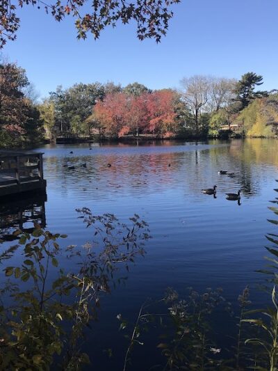 Herricks Pond - Williston Park, NY
