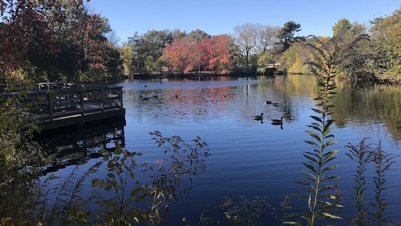 Herricks Pond - Williston Park, NY